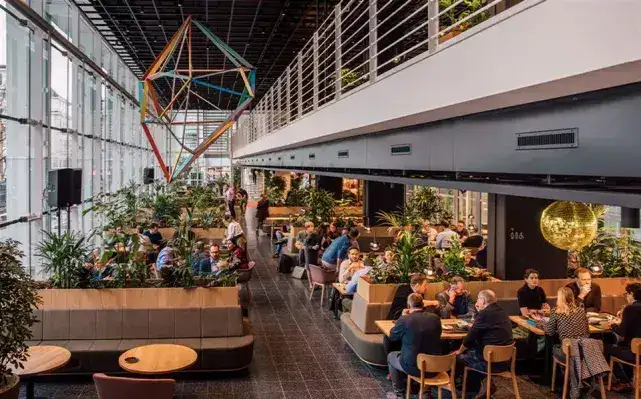 Cafeteria Nexus