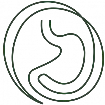 Logo Die Bauchpraxis Baden